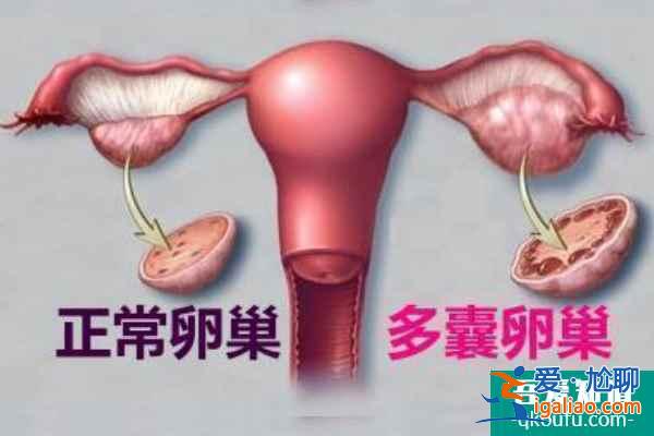 試管科普：凍胚移植適用人群及操作流程解析！？