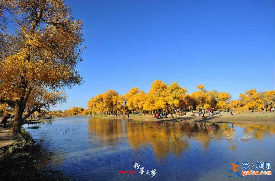 盤點國內9大最驚艷的秋色？