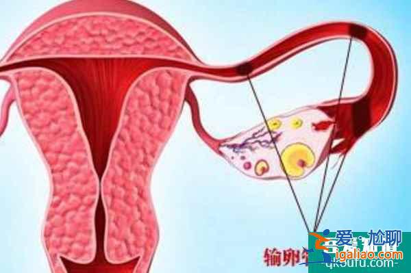 第三代試管嬰兒助力擺脫生育困擾，圓幸福家庭？
