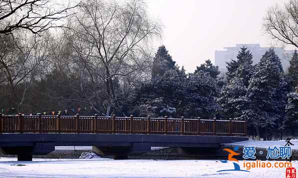 盤點國內(nèi)賞雪景好去處？