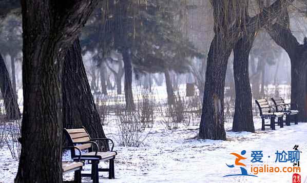 盤點國內(nèi)賞雪景好去處？
