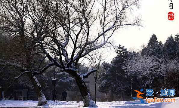 盤點國內(nèi)賞雪景好去處？