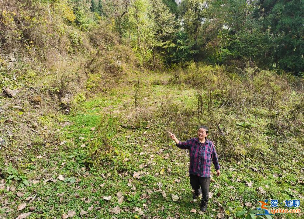 懷孕時(shí)被拐離鄉(xiāng)三十多年 老人攜子歸來(lái)想再落戶(hù)安家？