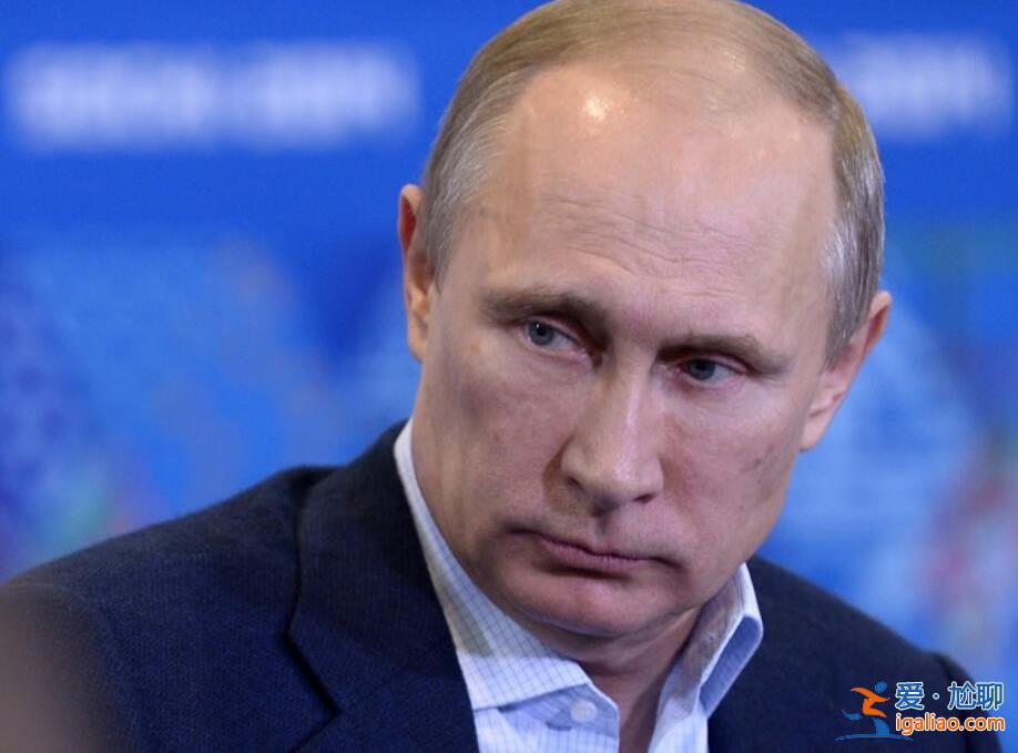 美國施壓后澤連斯基表示愿意出席G20，滿足5個條件就能談判[俄羅斯]？