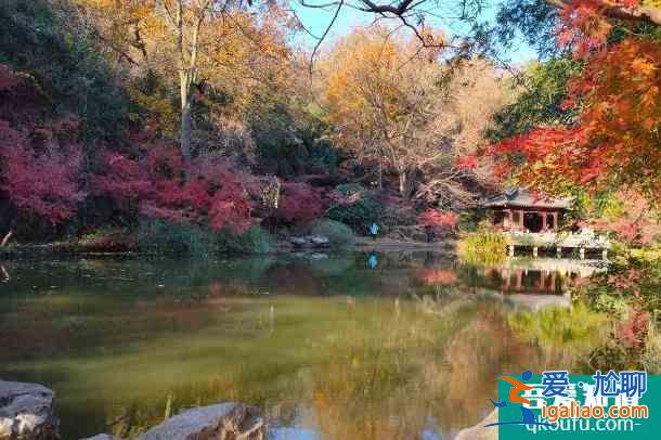 2022受疫情影響南京棲霞山和棲霞古寺不舉行跨年活動(dòng)？