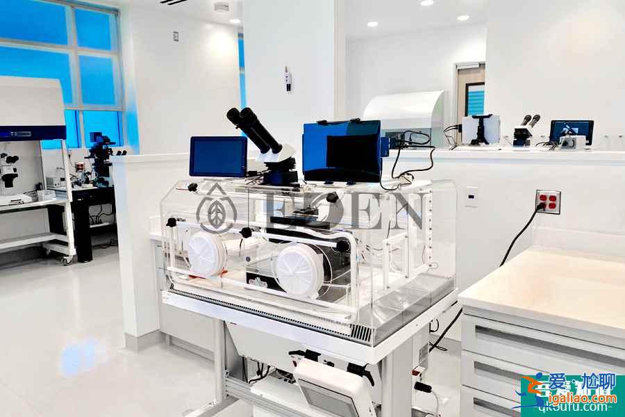 高齡女性赴美做試管嬰兒生子,能成功嗎?? 高齡女性赴美做試管嬰兒生子,能成功嗎??