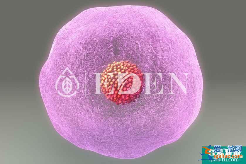 分享試管嬰兒用藥小常識：赴美前為何吃避孕藥？