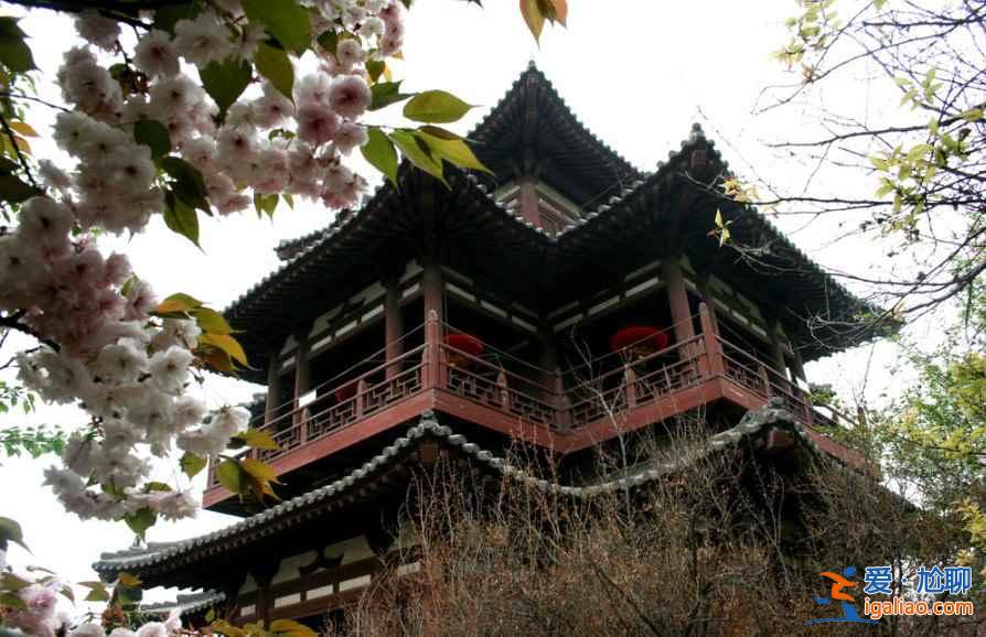 2017西安去哪賞櫻花,2017西安櫻花推薦地? 2017西安去哪賞櫻花,2017西安櫻花推薦地?