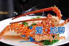 澳洲龍蝦的做法大全？