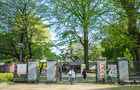 【東京哪里看櫻花好】東京賞櫻勝地，東京5大櫻花觀賞地推薦？