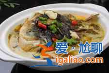 燉魚(yú)頭湯? 燉魚(yú)頭湯?