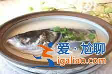 燉魚(yú)頭湯? 燉魚(yú)頭湯?