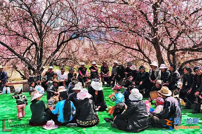 心目中的山水田園，應該就是這個樣子吧？