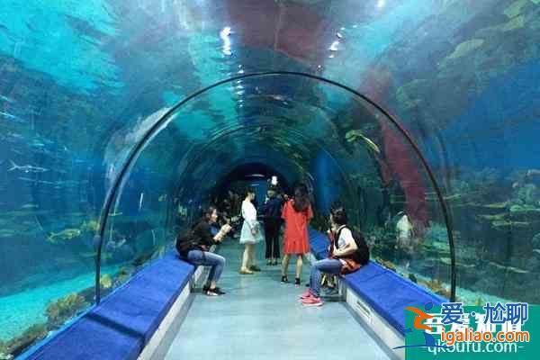 2022年福州跨年好去處 福州跨年活動攻略？