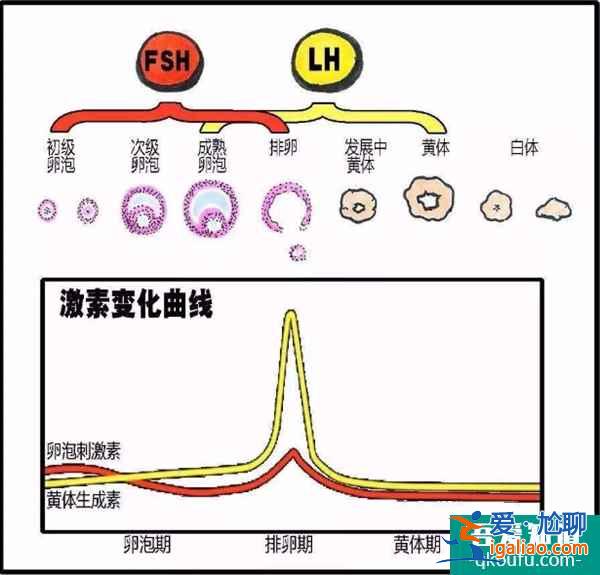 試管激素六項的檢查項目和臨床意義是什么？？
