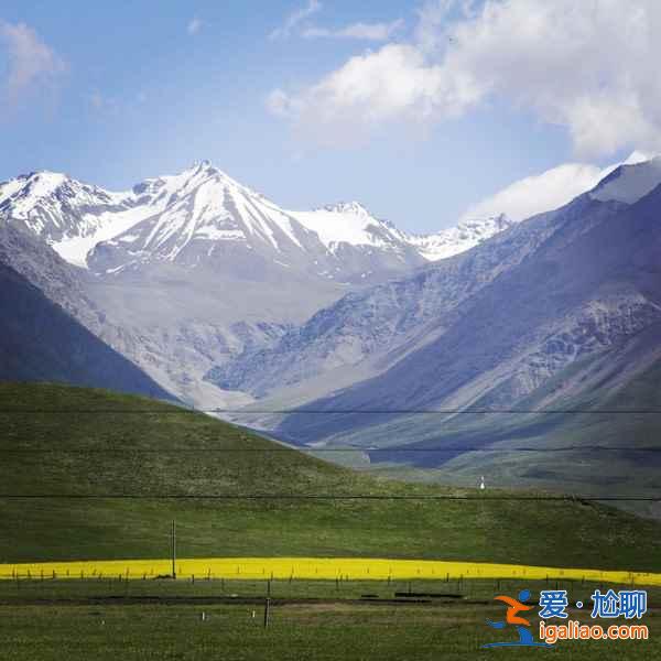 蘭新鐵路穿越甘肅油菜花海,被贊“7月最美高鐵線”!? 蘭新鐵路穿越甘肅油菜花海,被贊“7月最美高鐵線”!?