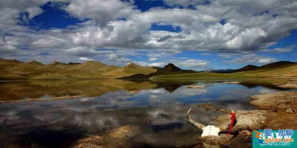 轉發 微博 Qzone 微信 為什么說可可西里無人區很可怕？？