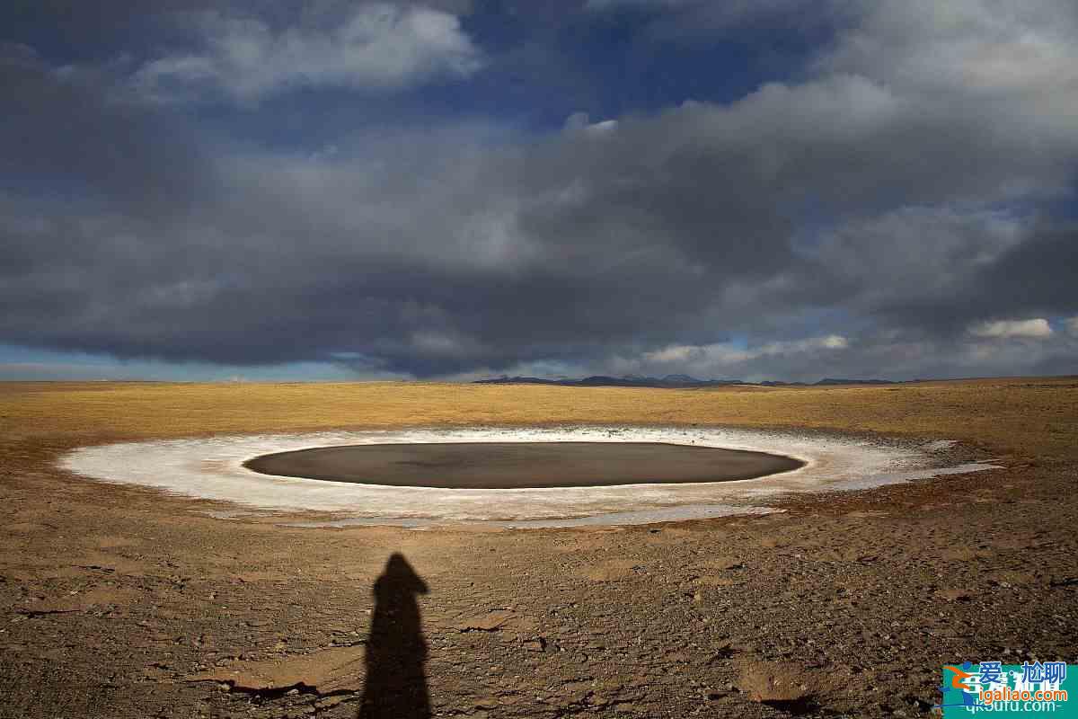 轉發 微博 Qzone 微信 為什么說可可西里無人區很可怕？？