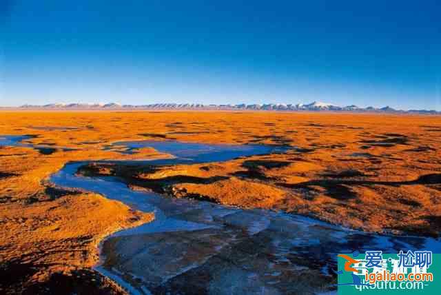 轉發 微博 Qzone 微信 為什么說可可西里無人區很可怕？？