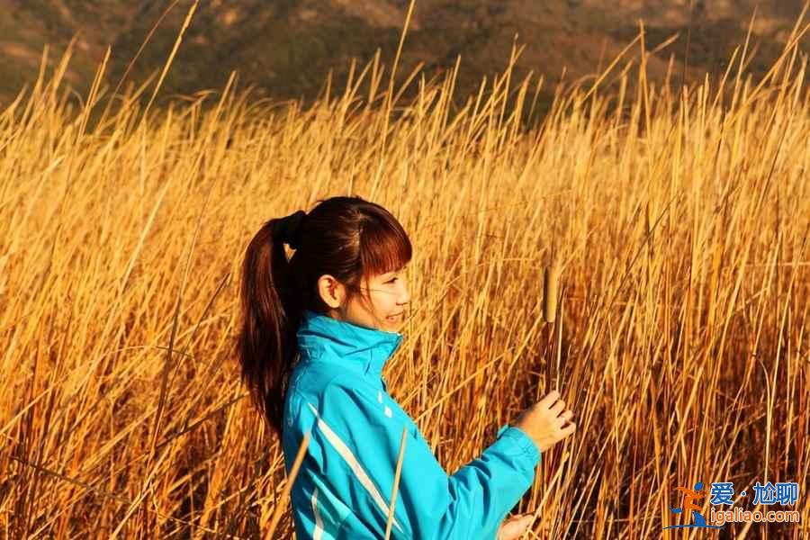 最美的北京秋色，你賞過幾個？