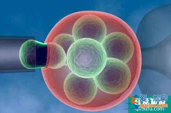 試管嬰兒：助力您的生育夢(mèng)想成為現(xiàn)實(shí)！？