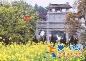 中國賞油菜花地圖，赴一場花田盛宴！？