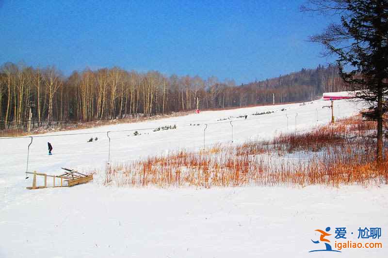 冬游長白山：走進冰雪世界？