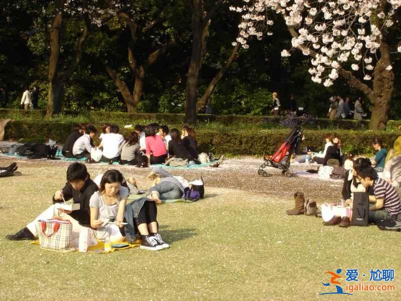 【東京櫻花什么時候開】2017東京櫻花花期+觀賞地+交通指南？