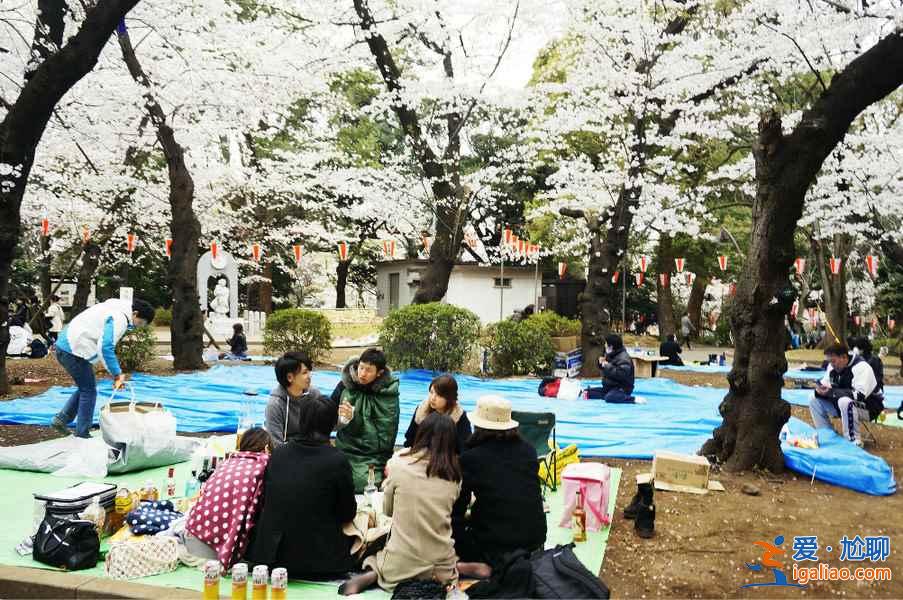 【東京櫻花什么時候開】2017東京櫻花花期+觀賞地+交通指南？