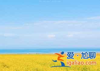 【青海湖油菜花】什么時候開，2018青海湖油菜花幾月開，【青海油菜花】攻略？