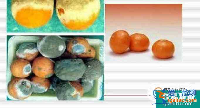 細菌菌落和真菌菌落的區別是什么?? 細菌菌落和真菌菌落的區別是什么??