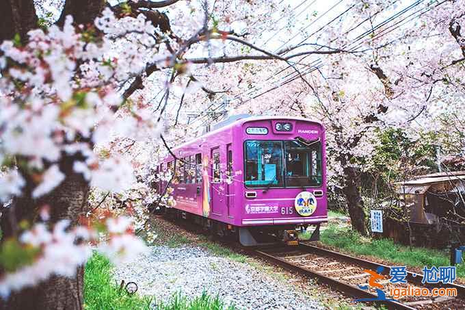 【嵐山櫻花隧道在哪】嵐山櫻花隧道怎么坐車,與嵐山小火車有什么差別? 【嵐山櫻花隧道在哪】嵐山櫻花隧道怎么坐車,與嵐山小火車有什么差別?