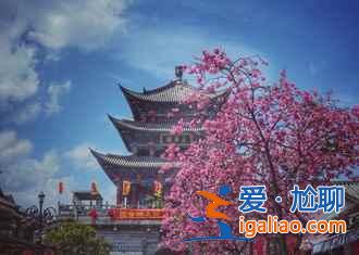 中國(guó)有個(gè)地方,櫻花開(kāi)的比日本還早!? 中國(guó)有個(gè)地方,櫻花開(kāi)的比日本還早!?