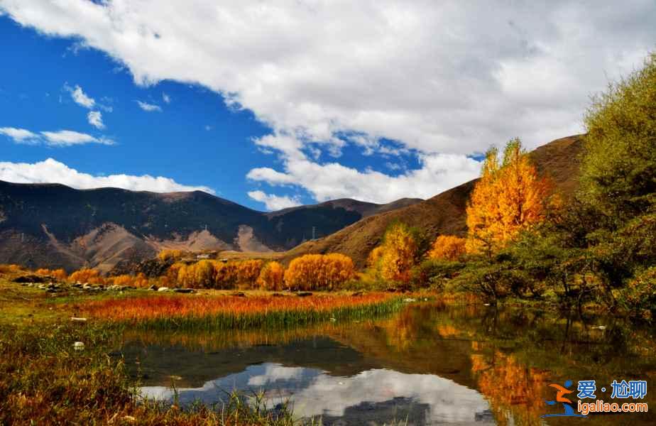 對的時間遇見對的風景，每個月一條經典路線推薦，12月走起？