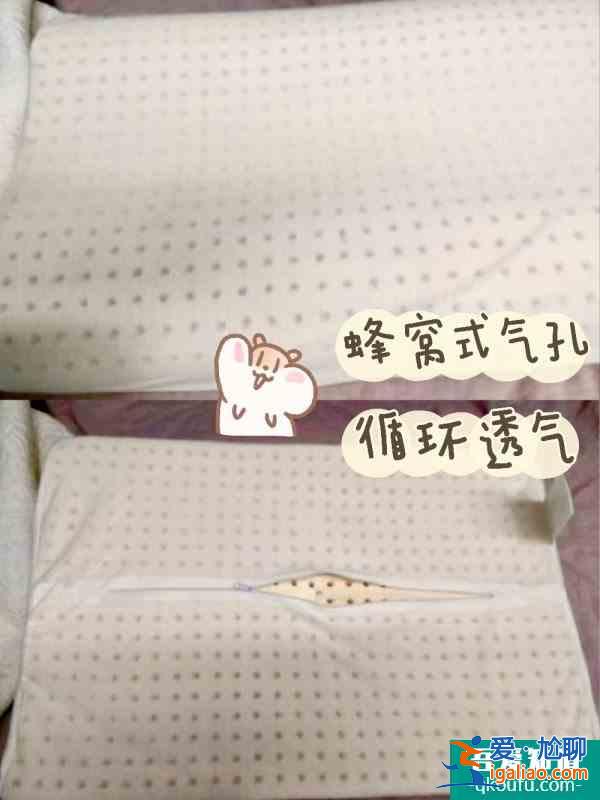 你和女明星之間，只差了這個乳膠枕頭？