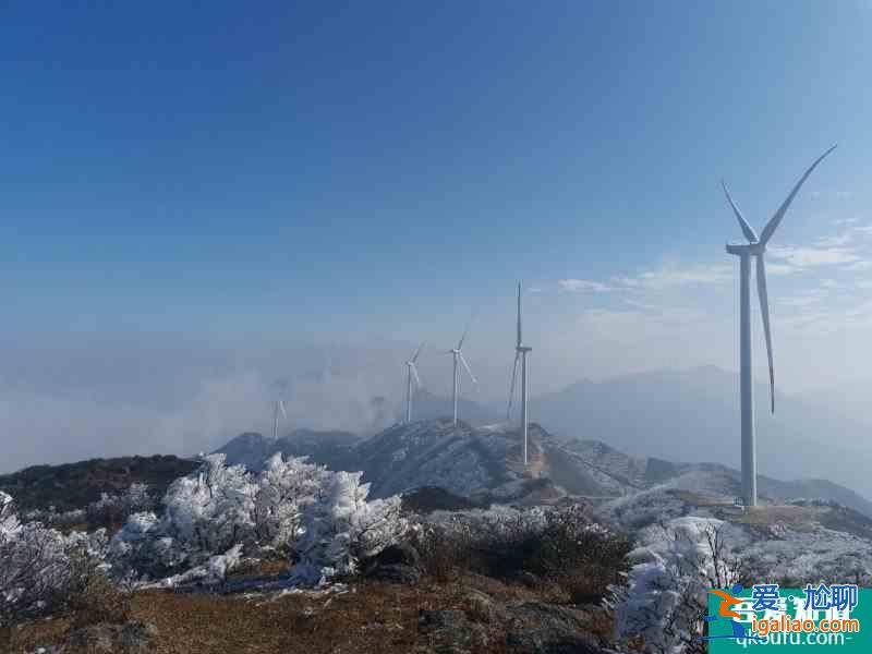 八卦腦的霧凇，周末游！?。?？