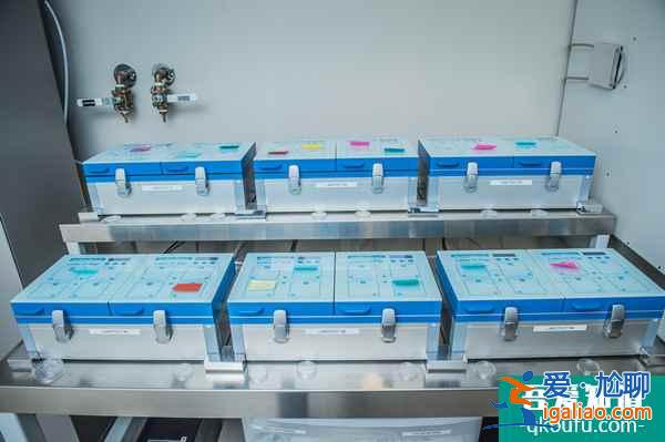 試管嬰兒：取卵10個一般能配幾個胚胎？？