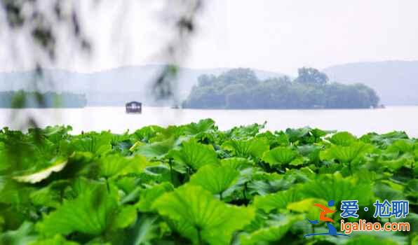 盤點全國所有免費的5A景區(qū)，收福利了！？