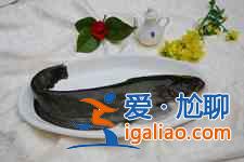 鯰魚的做法大全? 鯰魚的做法大全?