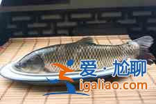 清燉草魚的家常做法？