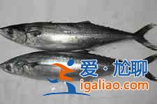 熏鲅魚的做法？