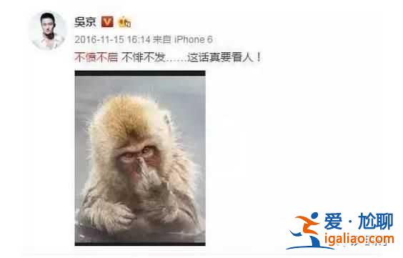 戰(zhàn)狼2為什么邀請(qǐng)張翰 吳京后悔選張翰出演戰(zhàn)狼2真相？