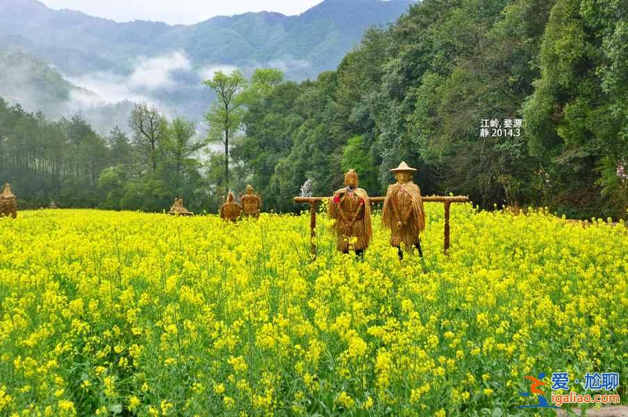 2018全國(guó)最全油菜花時(shí)間表，油菜花開(kāi)放時(shí)間？