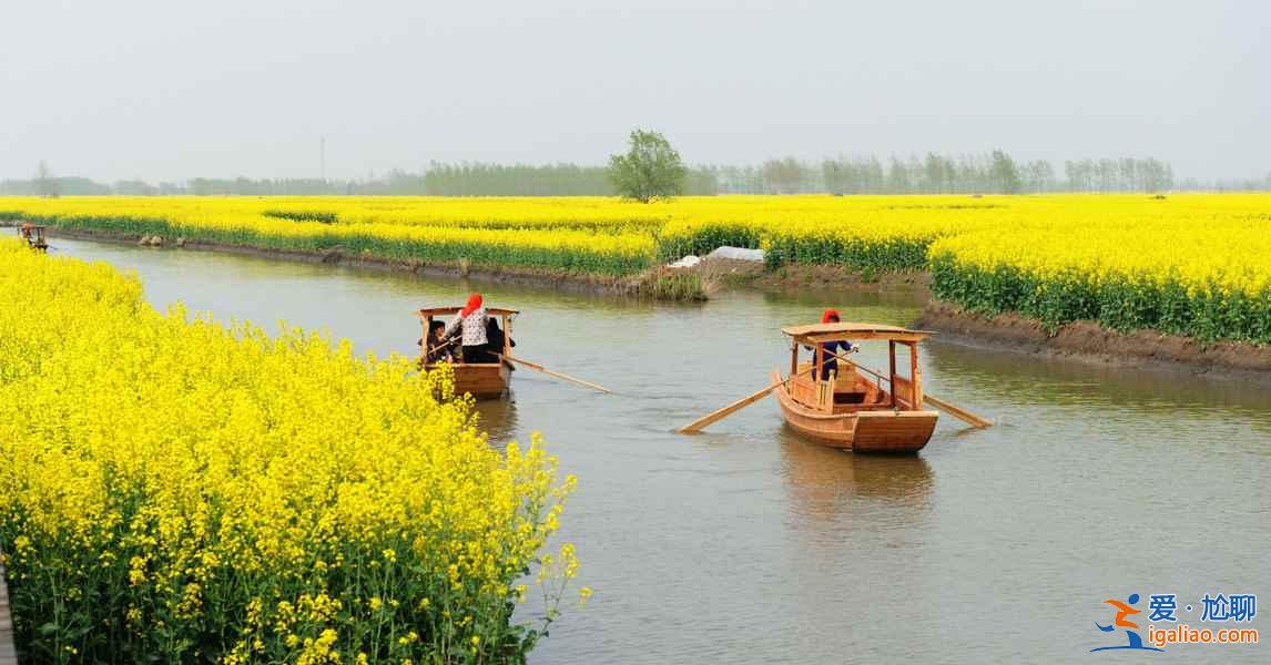 2018全國(guó)最全油菜花時(shí)間表，油菜花開(kāi)放時(shí)間？