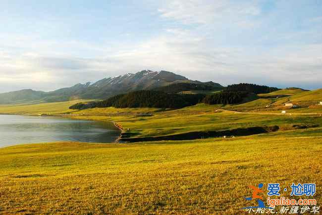 2018新疆油菜花,2018新疆昭蘇油菜花幾月開? 2018新疆油菜花,2018新疆昭蘇油菜花幾月開?