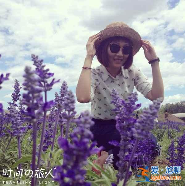 北海道薰衣草花期,2018日本北海道薰衣草最晚開到什么時候? 北海道薰衣草花期,2018日本北海道薰衣草最晚開到什么時候?