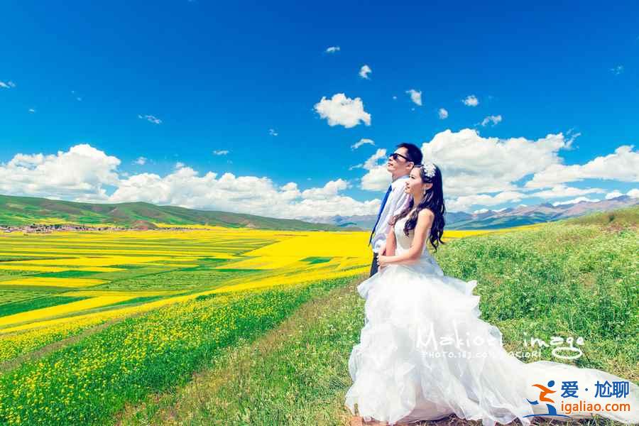 2018全國(guó)最全油菜花時(shí)間表，油菜花開(kāi)放時(shí)間？