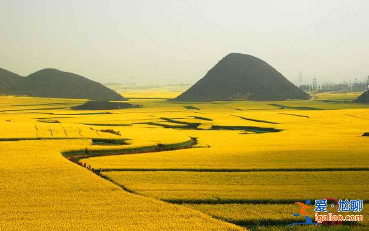 2018云南羅平油菜花節，什么時候去羅平旅游好？