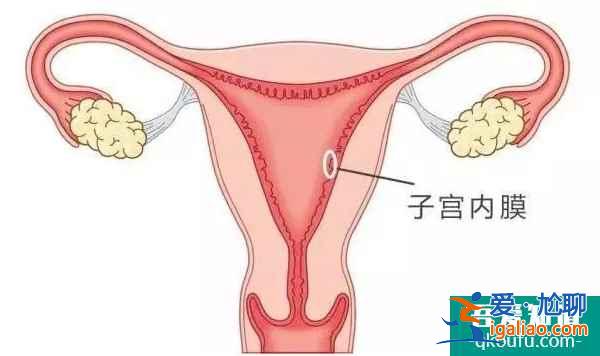 肥胖女性去做試管嬰兒，會遇到什么問題？？