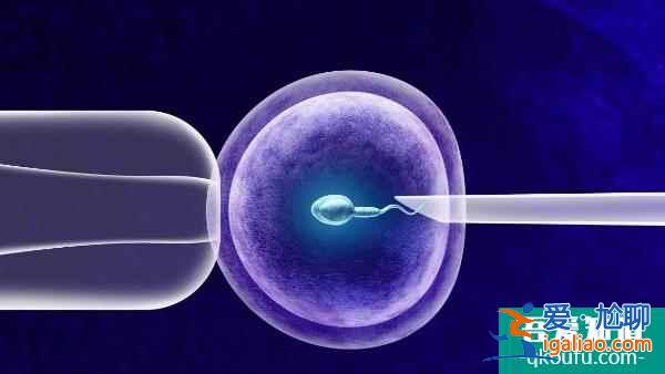 36歲女性赴美做試管，成功率如何？？